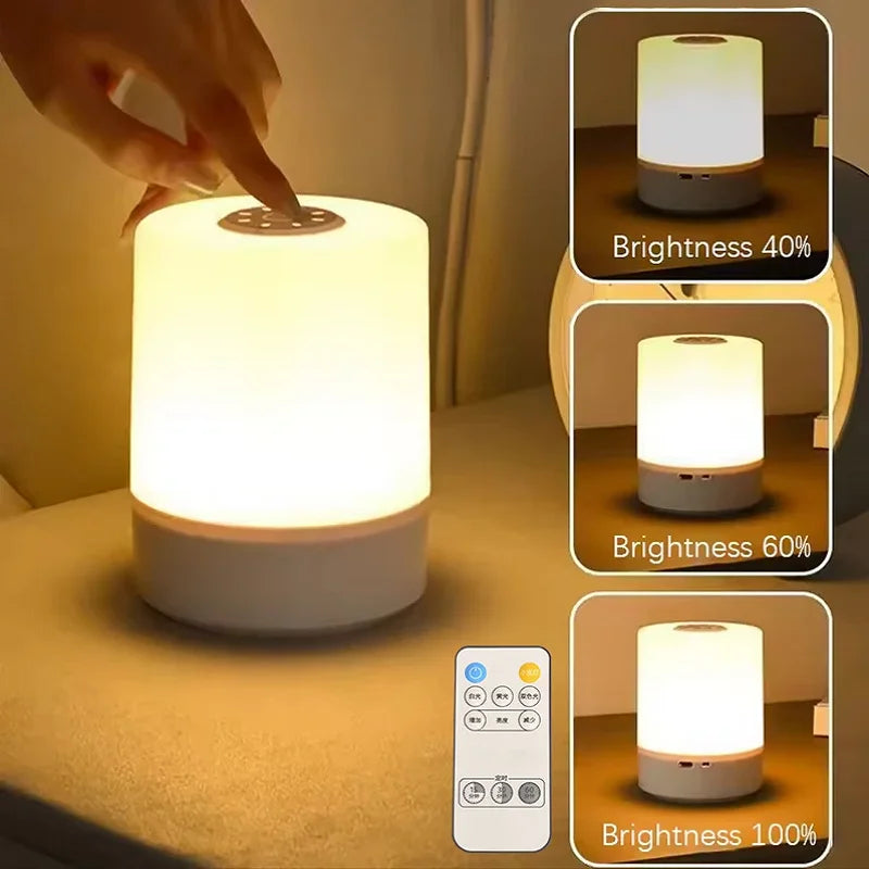 Touch Dimmable Bedside Lamp